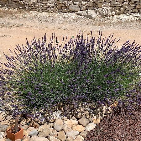 Au Fil Des Cevennes Bed and Breakfast Saint-Jean-de-Maruéjols-et-Avéjan Eksteriør billede