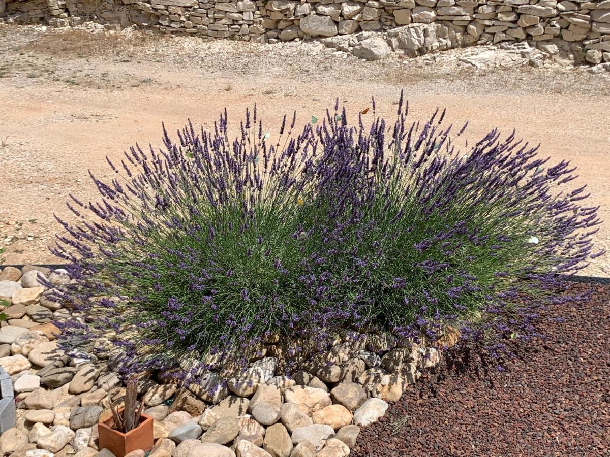 Au Fil Des Cevennes Bed and Breakfast Saint-Jean-de-Maruéjols-et-Avéjan Eksteriør billede